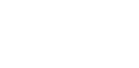 Columbia 300